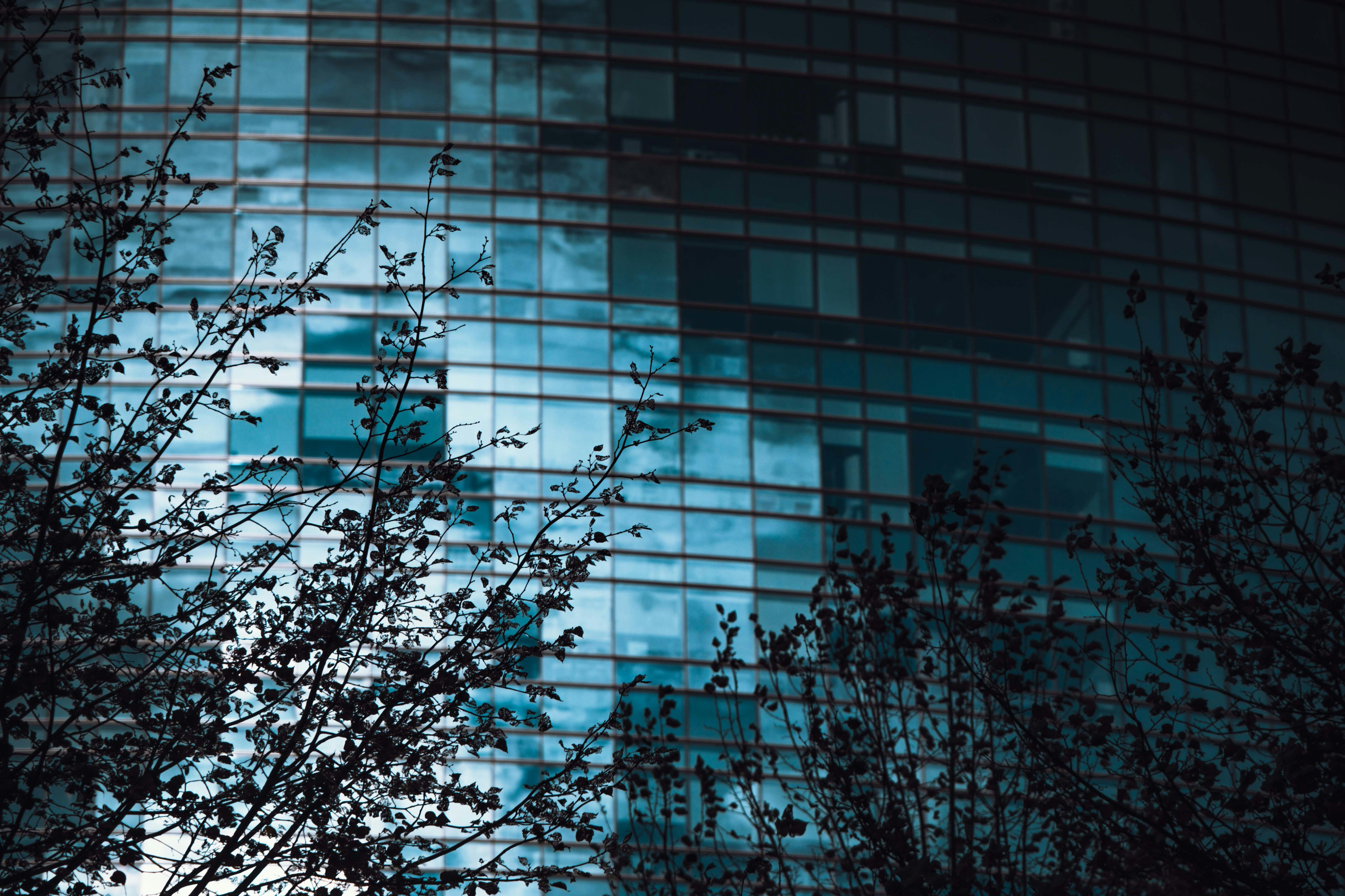 Gratuit Photos gratuites de @extérieur, à contre-jour, aménagement urbain Photos