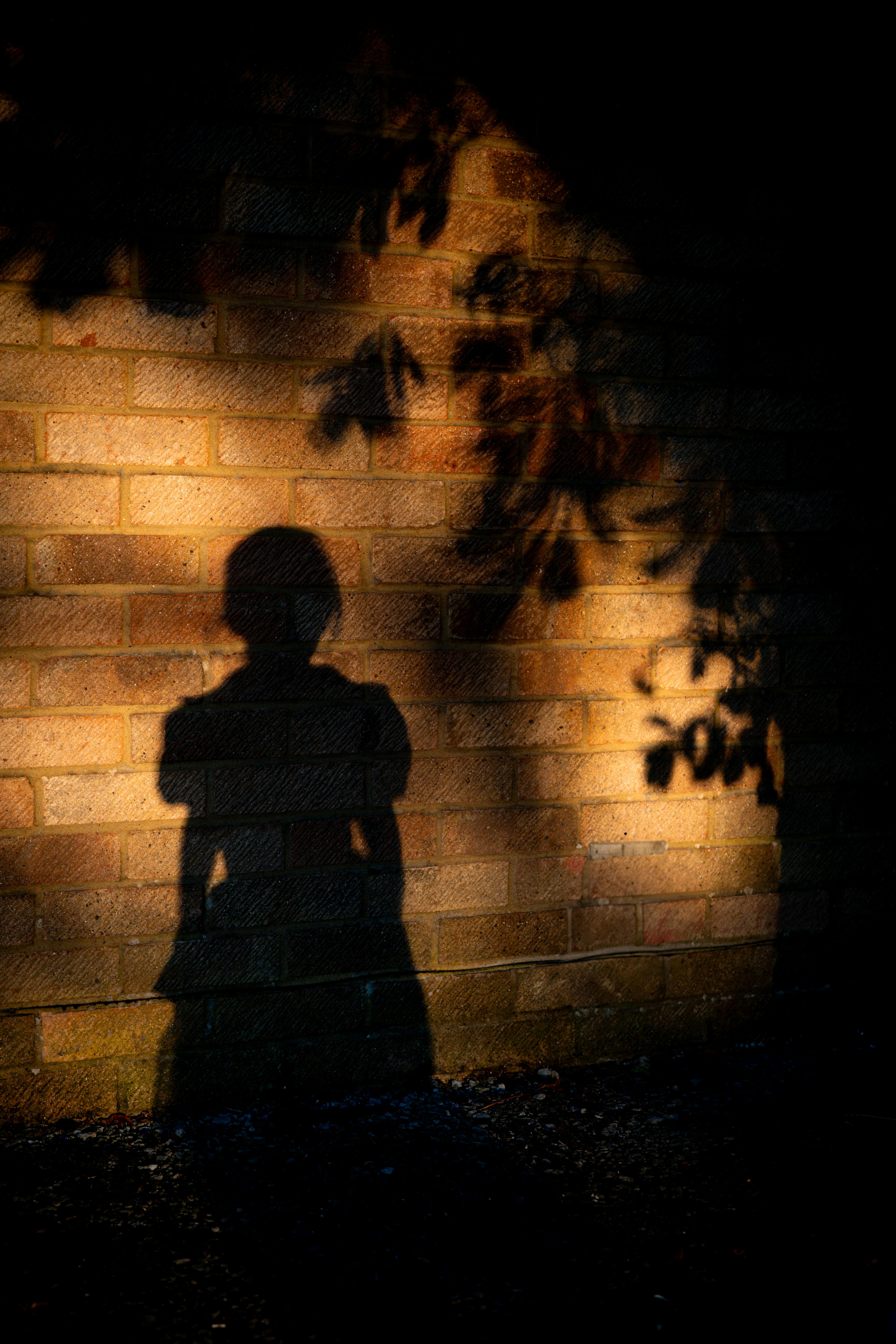 Silhouette of a person and tree branches cast on a brick wall during sunset.