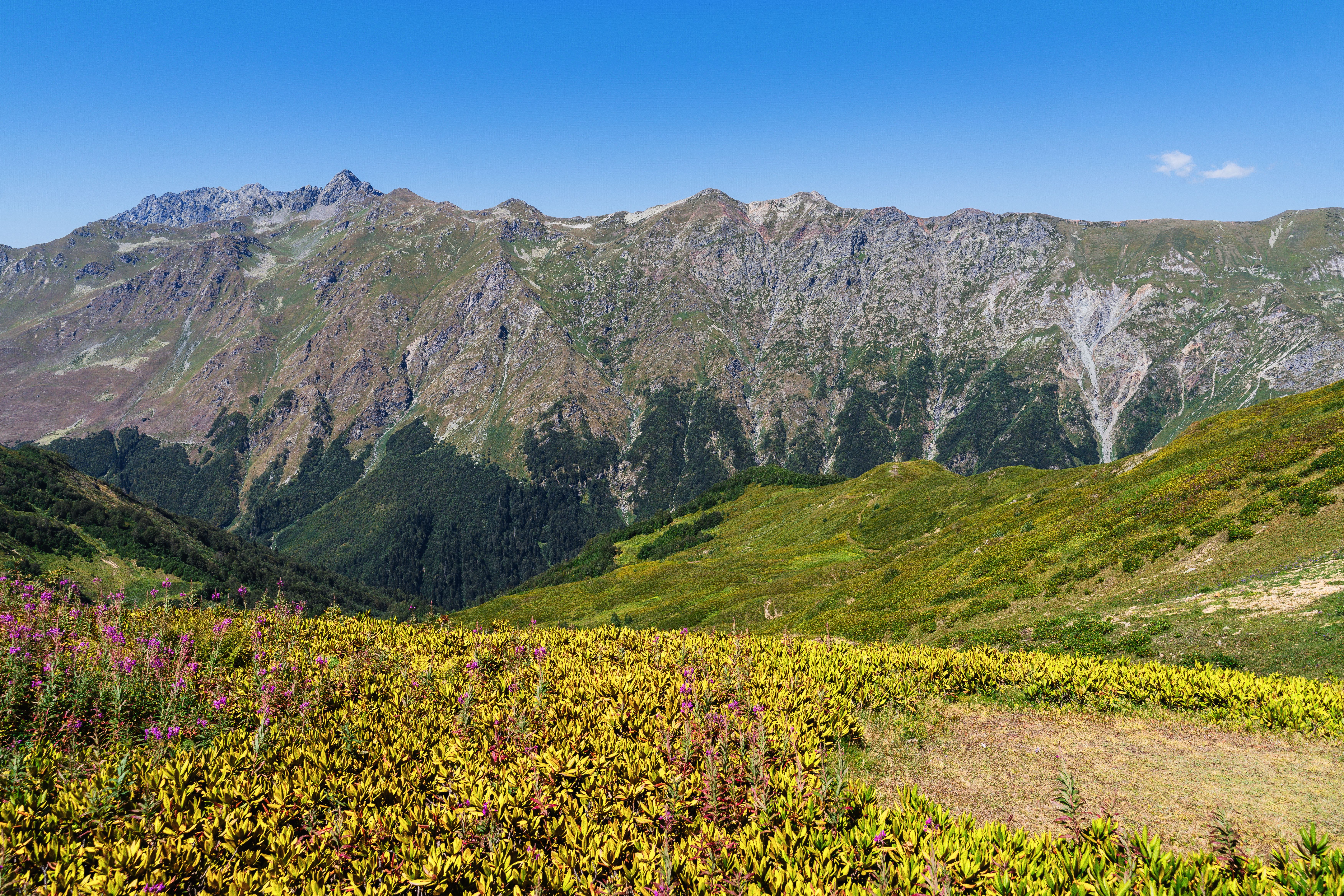 Waterproof hiking boots with ankle support on a trail in the Caucasus Mountains, Georgia.