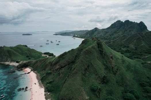 Komodo dragons with a ranger — Komodo Islands