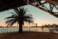 桥下，棕榈树作为前景，城市天际线作为背景，日落景观令人惊叹