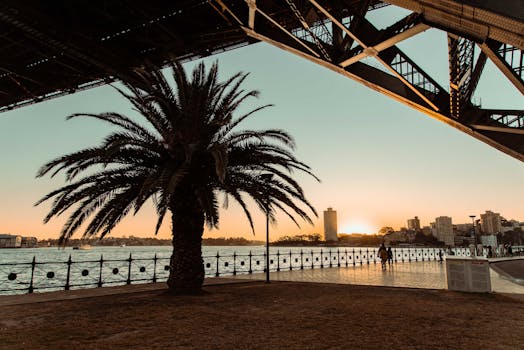 桥下，棕榈树作为前景，城市天际线作为背景，日落景观令人惊叹