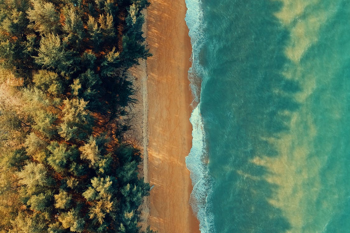 Bird's-eye View of Beach