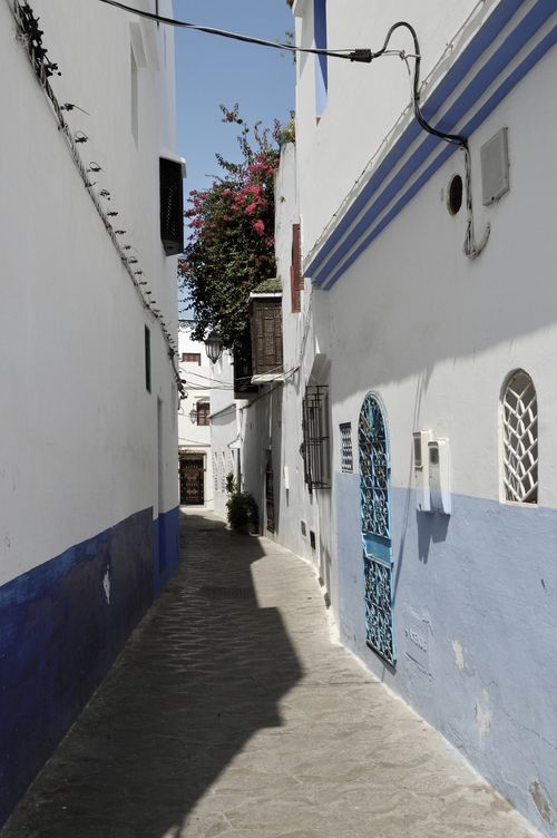 Free Charming narrow street in Asilah, Morocco, with traditional white and blue buildings. Stock Photo