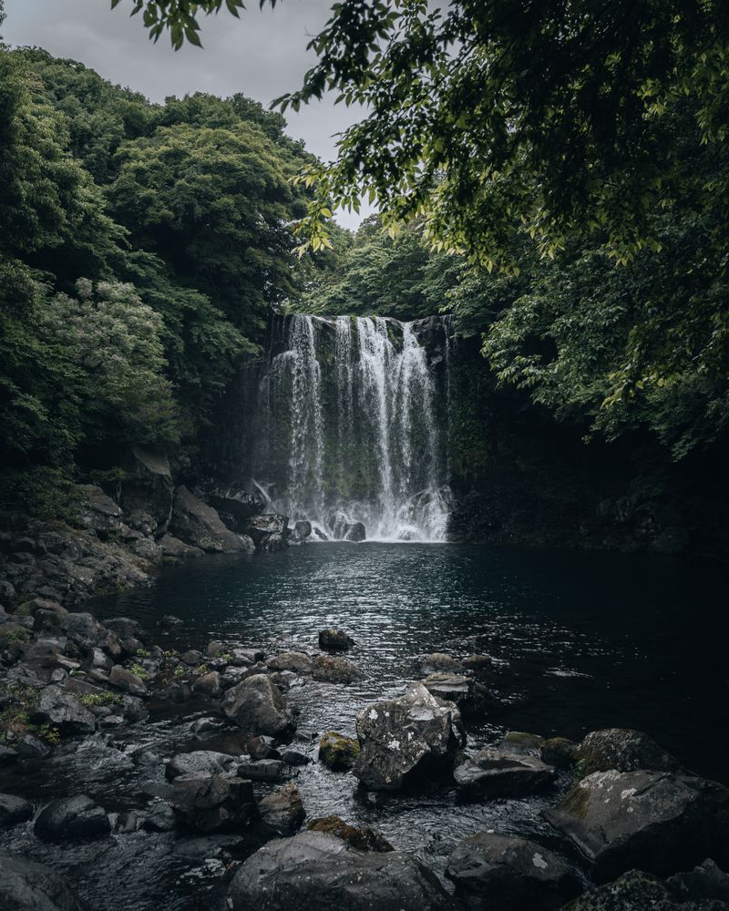 Cheonjiyeon Waterfall falling over a dark rock face into a pool in Jeju's forest