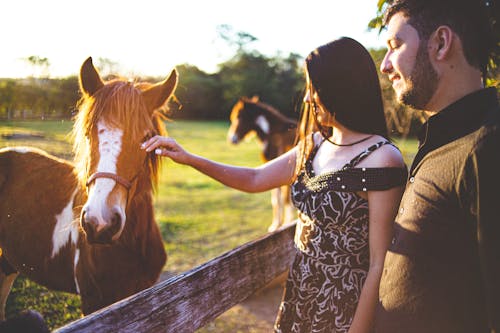 Free Man And Woman Standing In Front Of Horse Stock Photo