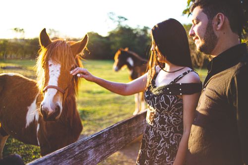 Free A couple enjoying time with horses on a sunny day in the countryside. Stock Photo