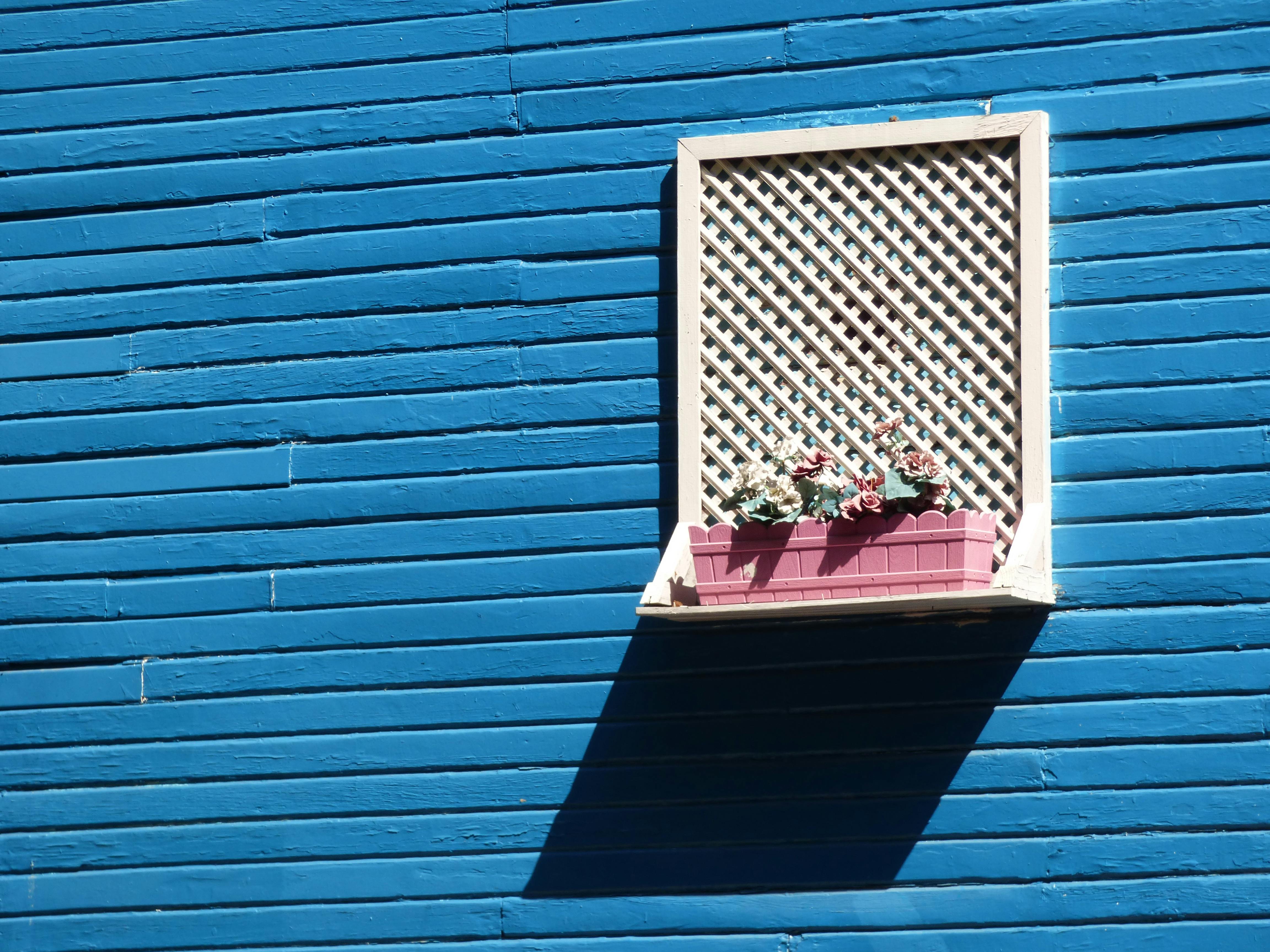 A bright blue wall with a flowerpot under a window in Fatih, İstanbul, Türkiye