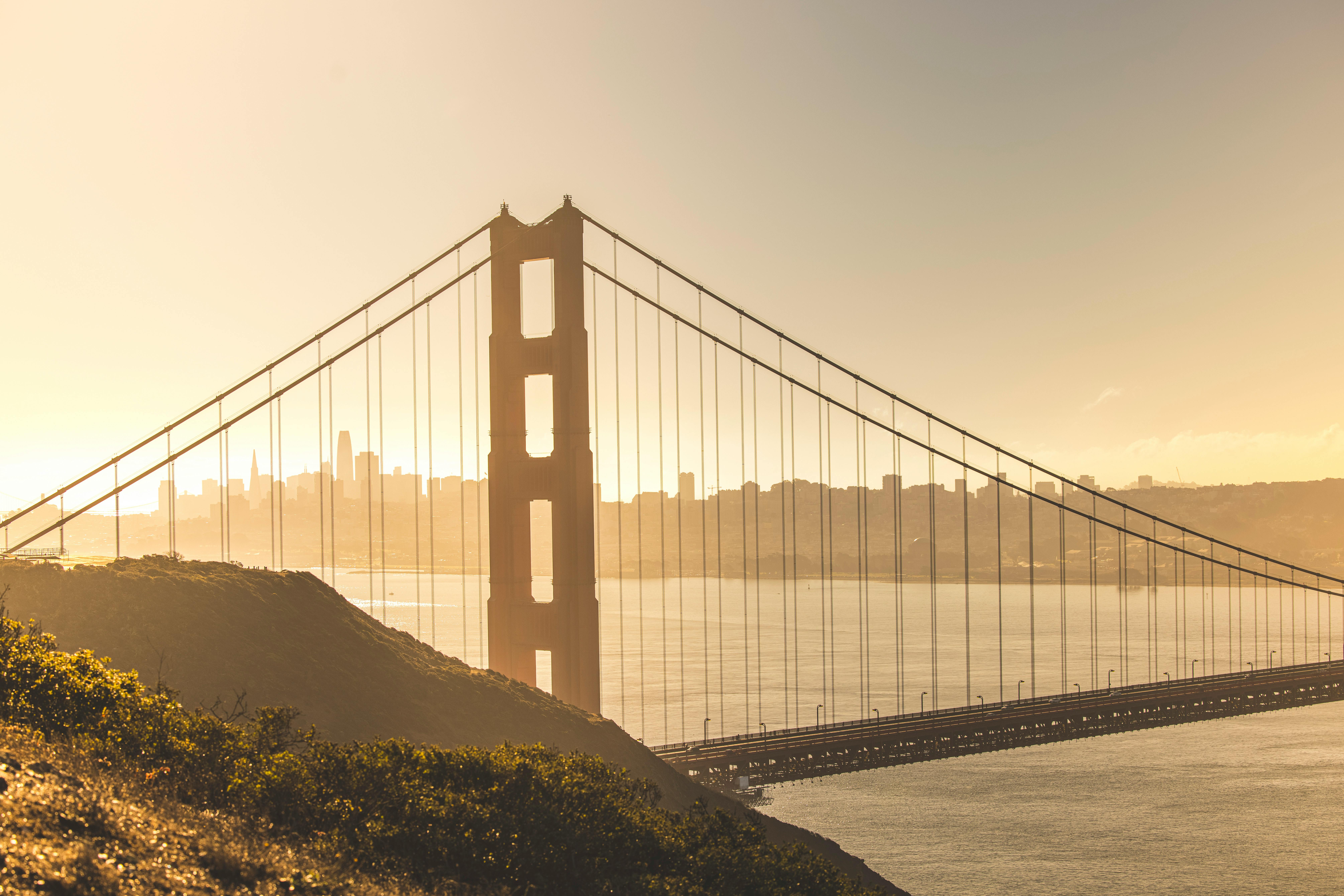 The Best Immigration Attorneys in the Bay Area | Local Recommendations for Best Immigration &amp; Asylum Lawyers — Photo by S