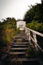 乡村木楼梯风景优美，通往一座被郁郁葱葱的绿色植物包围的废弃房屋