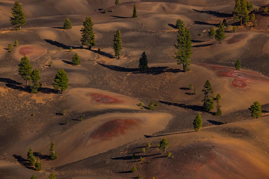 Stunning aerial shot of the Painted Dunes landscape with scattered green trees.