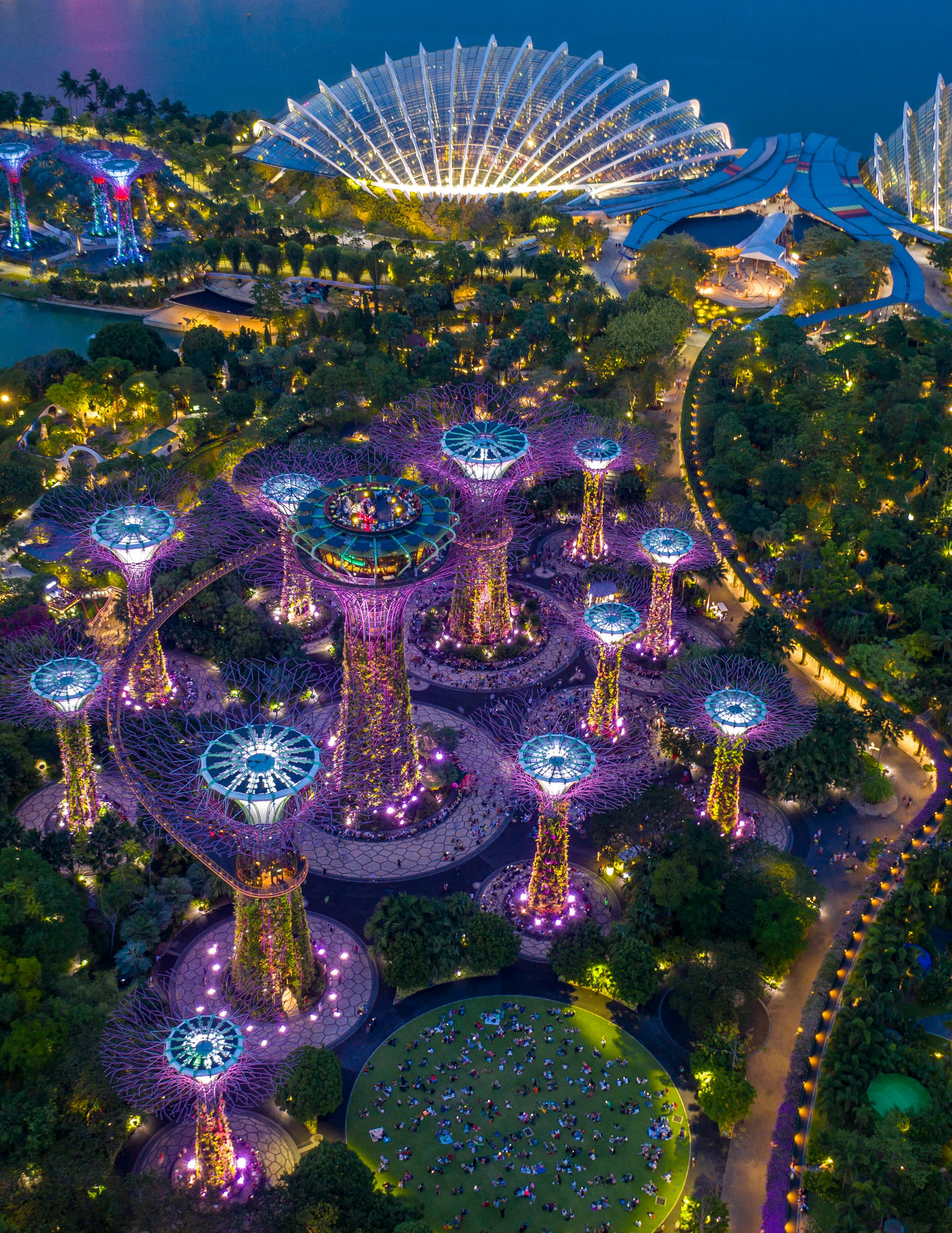 Supertree Grove illuminated during the Garden Rhapsody light show at Gardens by the Bay, Singapore at night