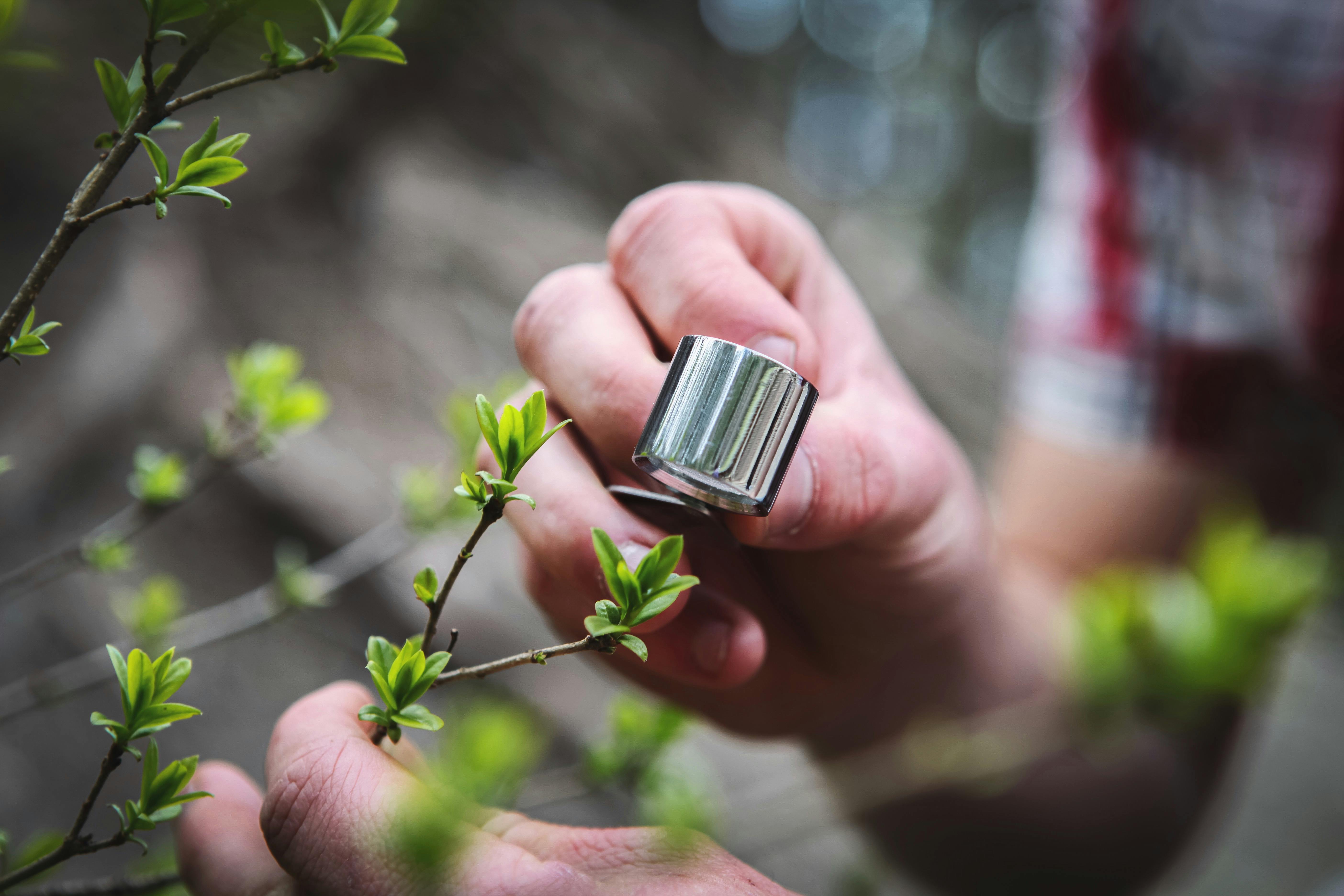 Sampling a Plant Before Full Identification