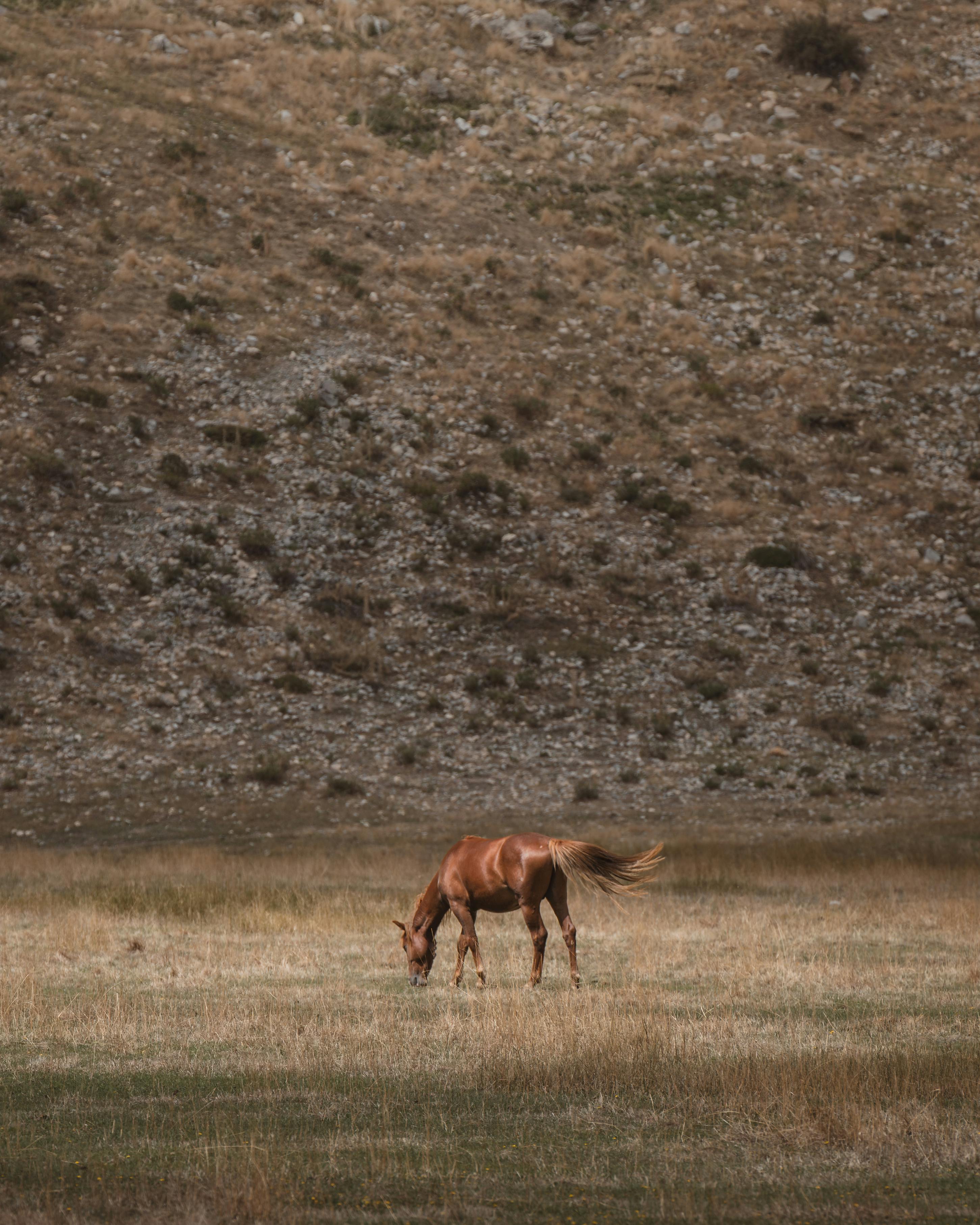 Aileler ve Yalnız Gezginler İçin Bakırköy’de Mutlaka Denenmesi Gereken 7 Yer