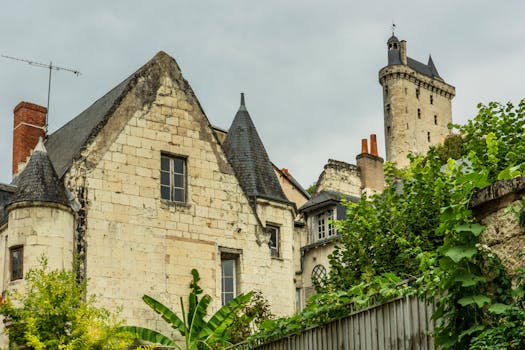 A quaint view of historical architecture in Chinon, France, framed by lush greenery.