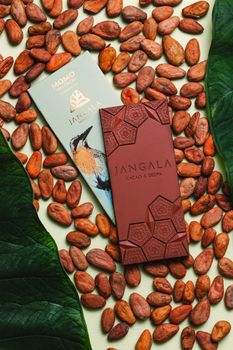 Chocolate Chocolate Plant-based Milk — kidney-friendly food