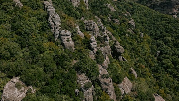 Lush forested landscape with distinctive rock formations viewed from above.