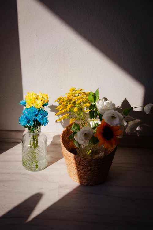 Free Bright flowers in glass vase and basket glowing in sunlight indoors. Stock Photo