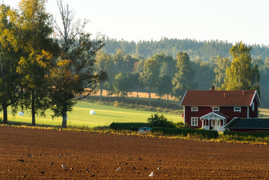 Gezellig leeshoekje met zachte Scandinavische stoffen. Gezellig leeshoekje met zachte Scandinavische stoffen.