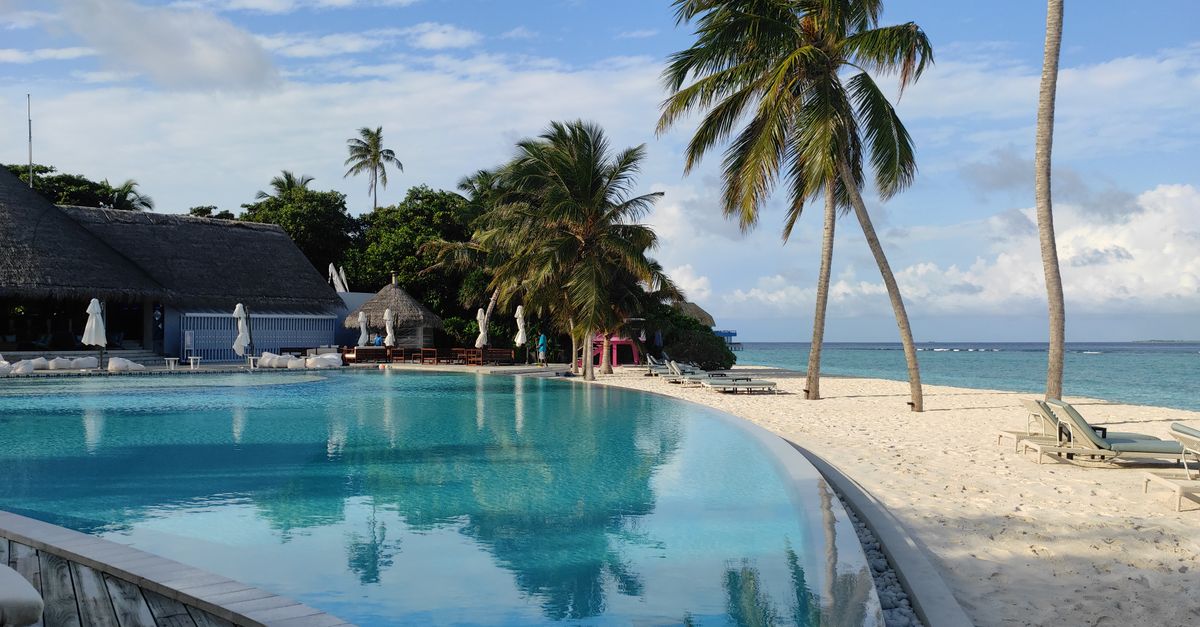 Relaxing beachfront scene at Ifuru Island, Maldives with palm trees and a pristine pool reflecting the sky.