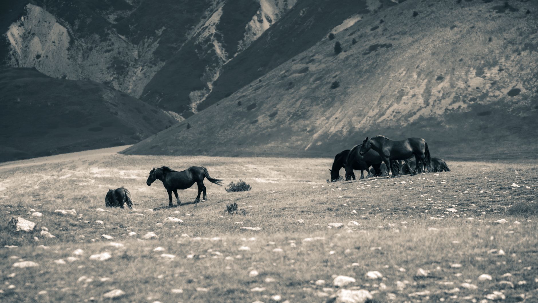 A serene landscape featuring wild horses in a mountainous meadow.