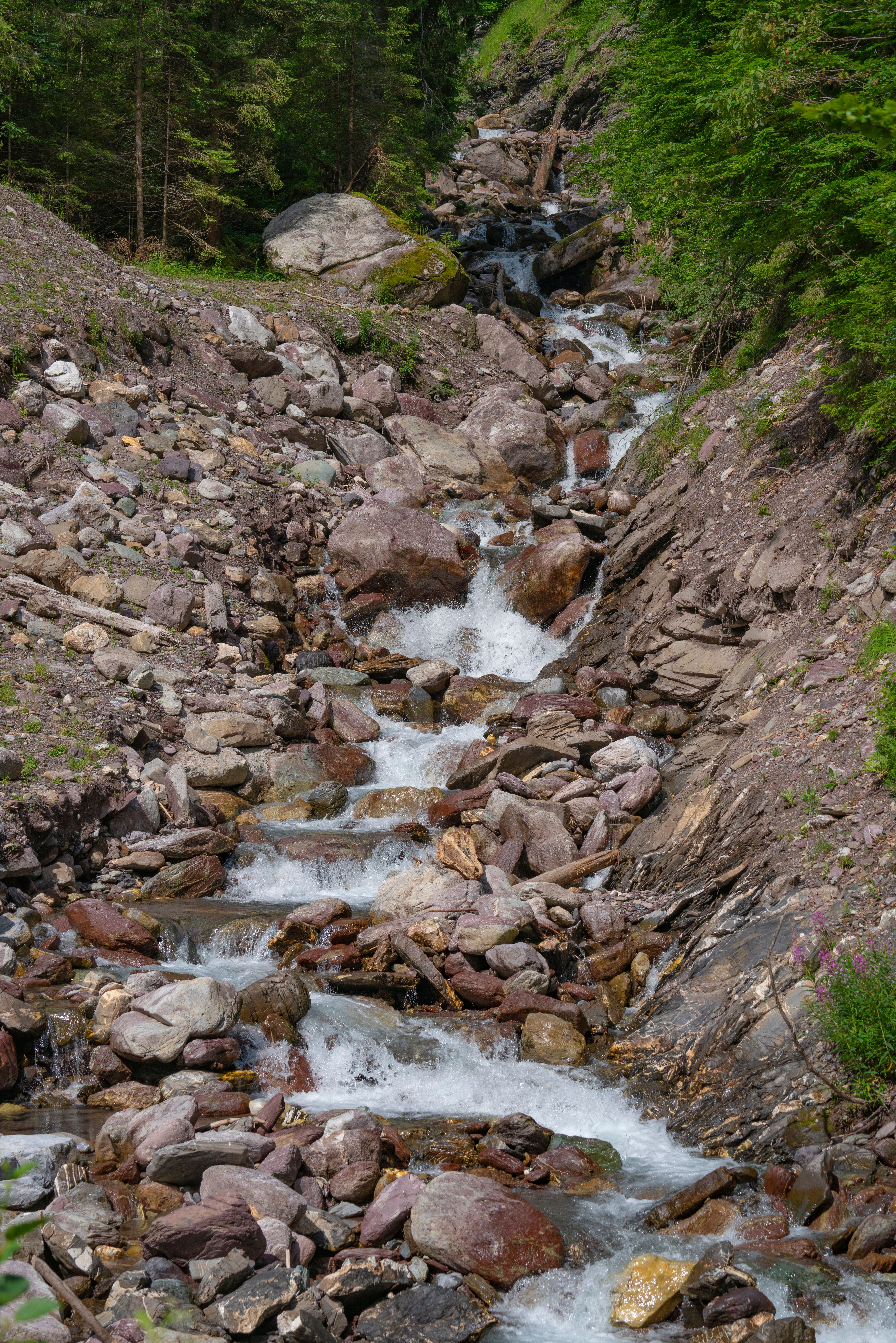 Serene Mountain Stream Flowing Through Rocks · Free Stock Photo