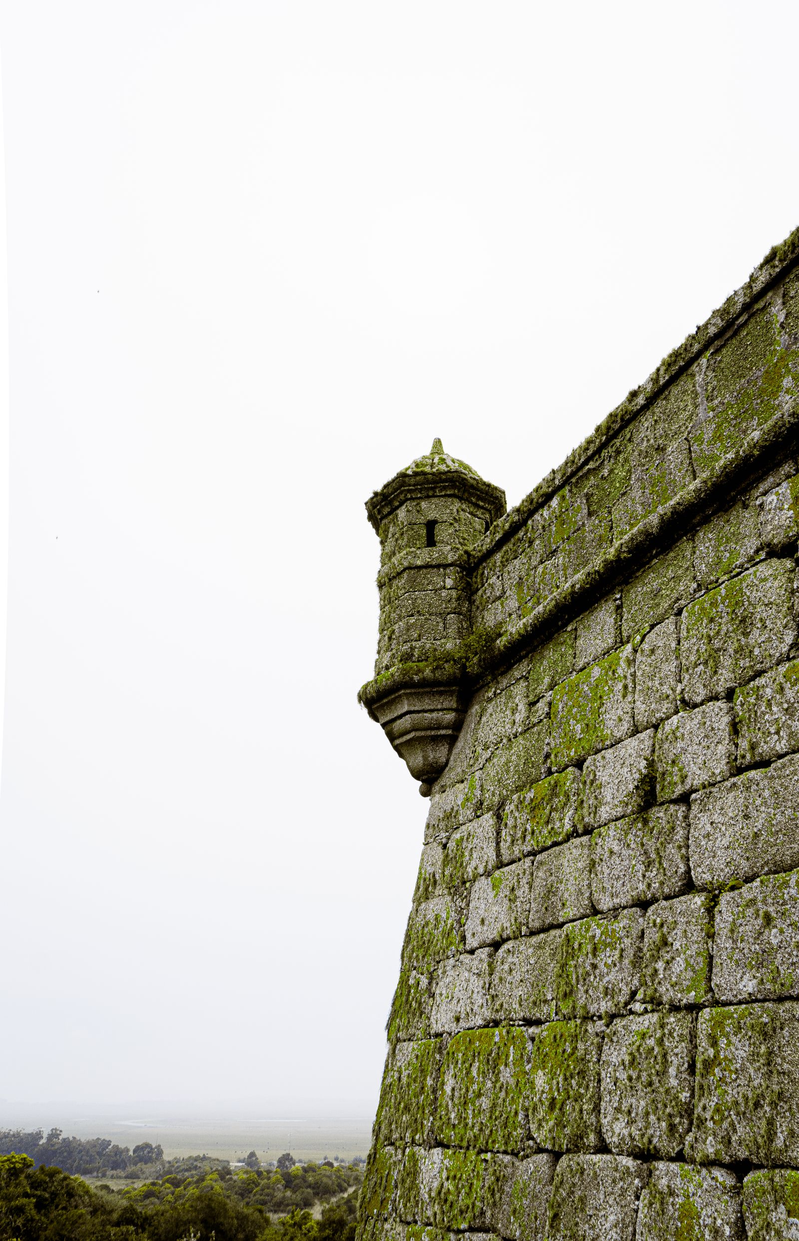 Moss-covered medieval castle wall with defensive tower