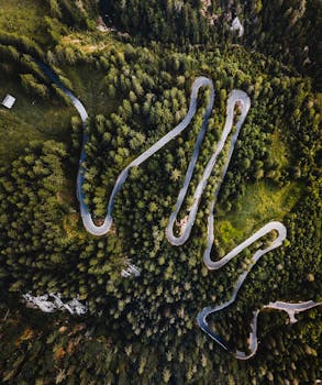 无人机拍摄下一条蜿蜒的道路，它穿过郁郁葱葱的森林，四周环绕着高大的松树