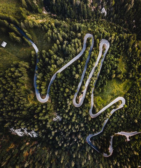 Drone shot capturing a winding road through lush green forest, surrounded by tall pine trees.