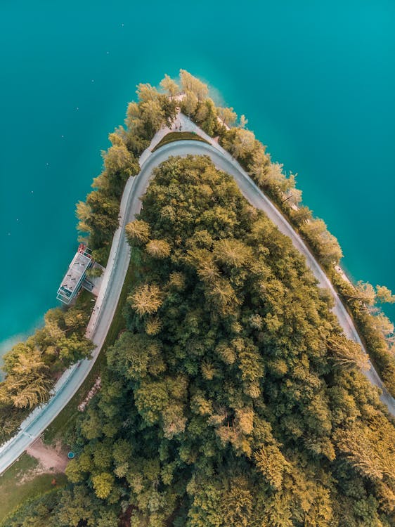 树木环绕的道路的顶视图