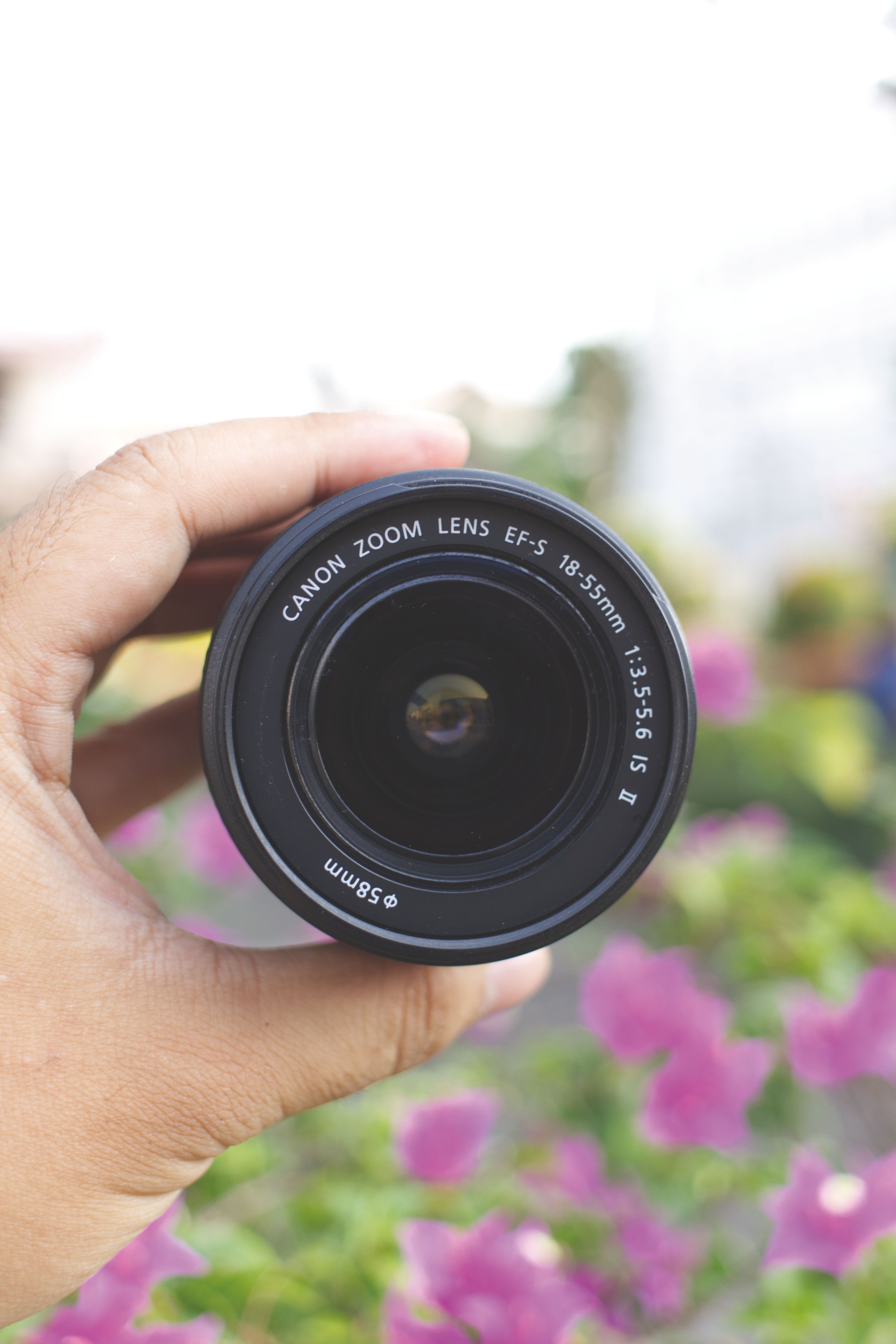 A hand holding a DSLR camera lens outdoors with a blurred floral background.