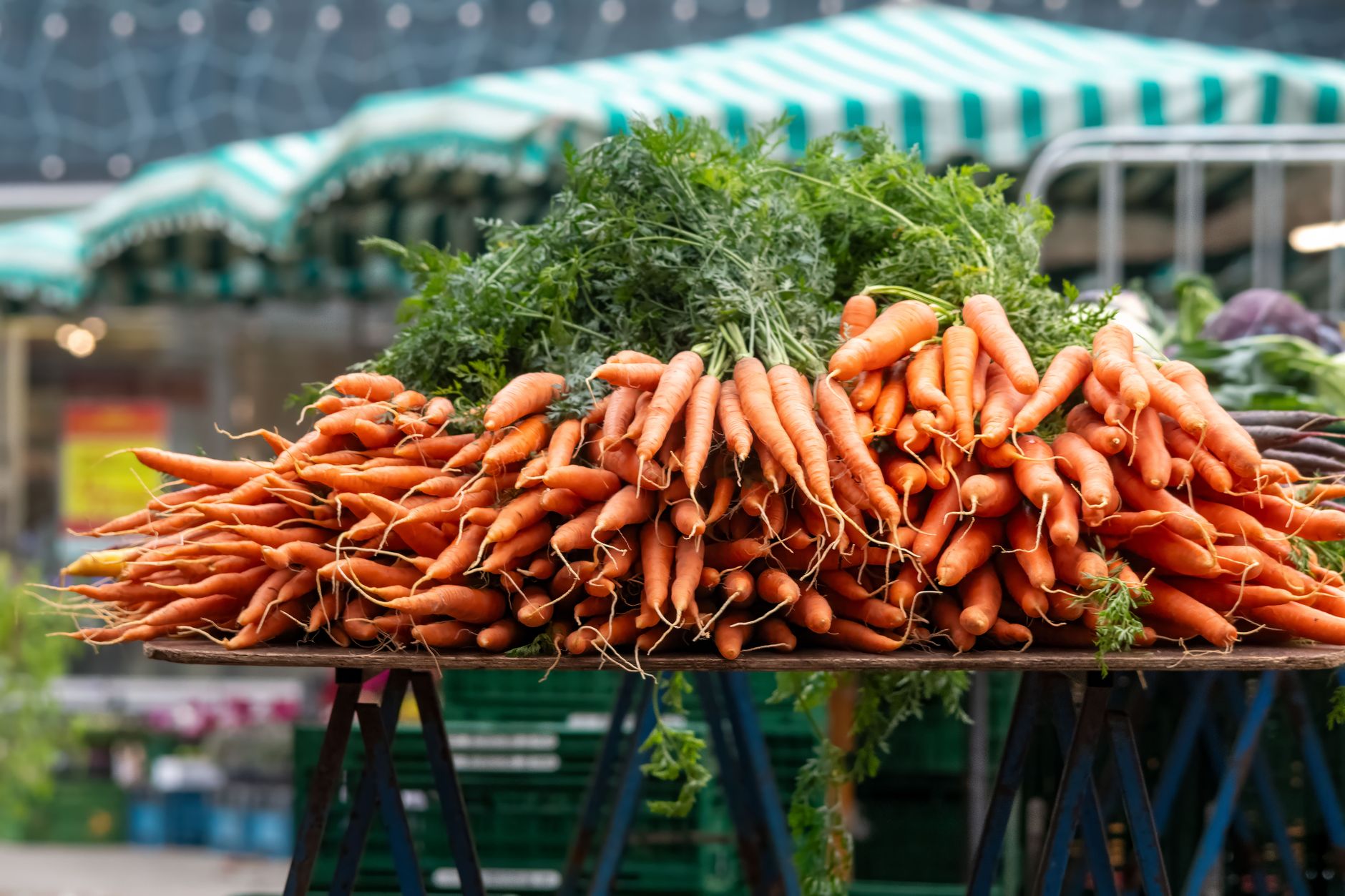 Spanish Fork Farmers Market: Fresh Finds Every Saturday! photo