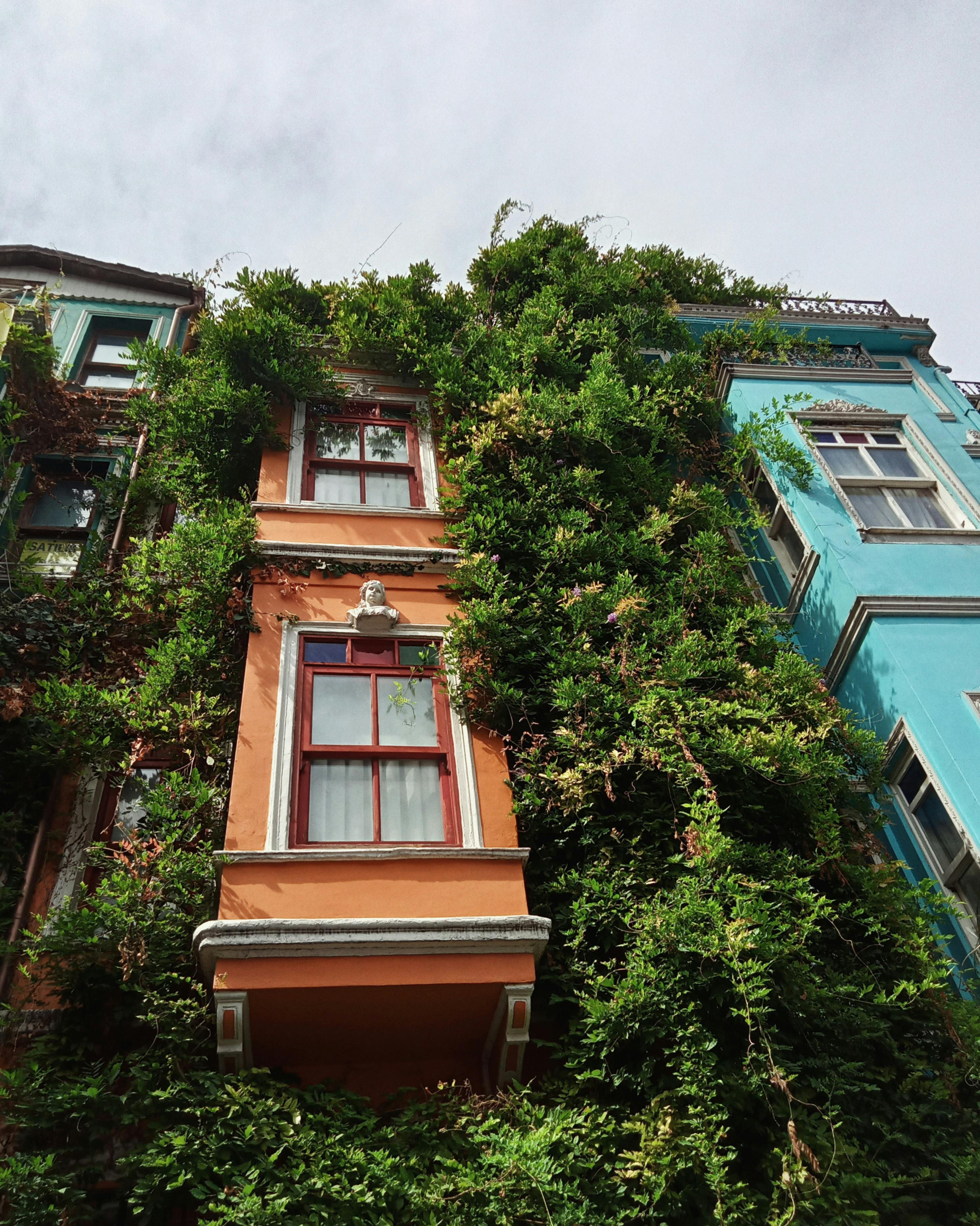 Visiting the Crazy House in Dalat A Unique Architectural Marvel