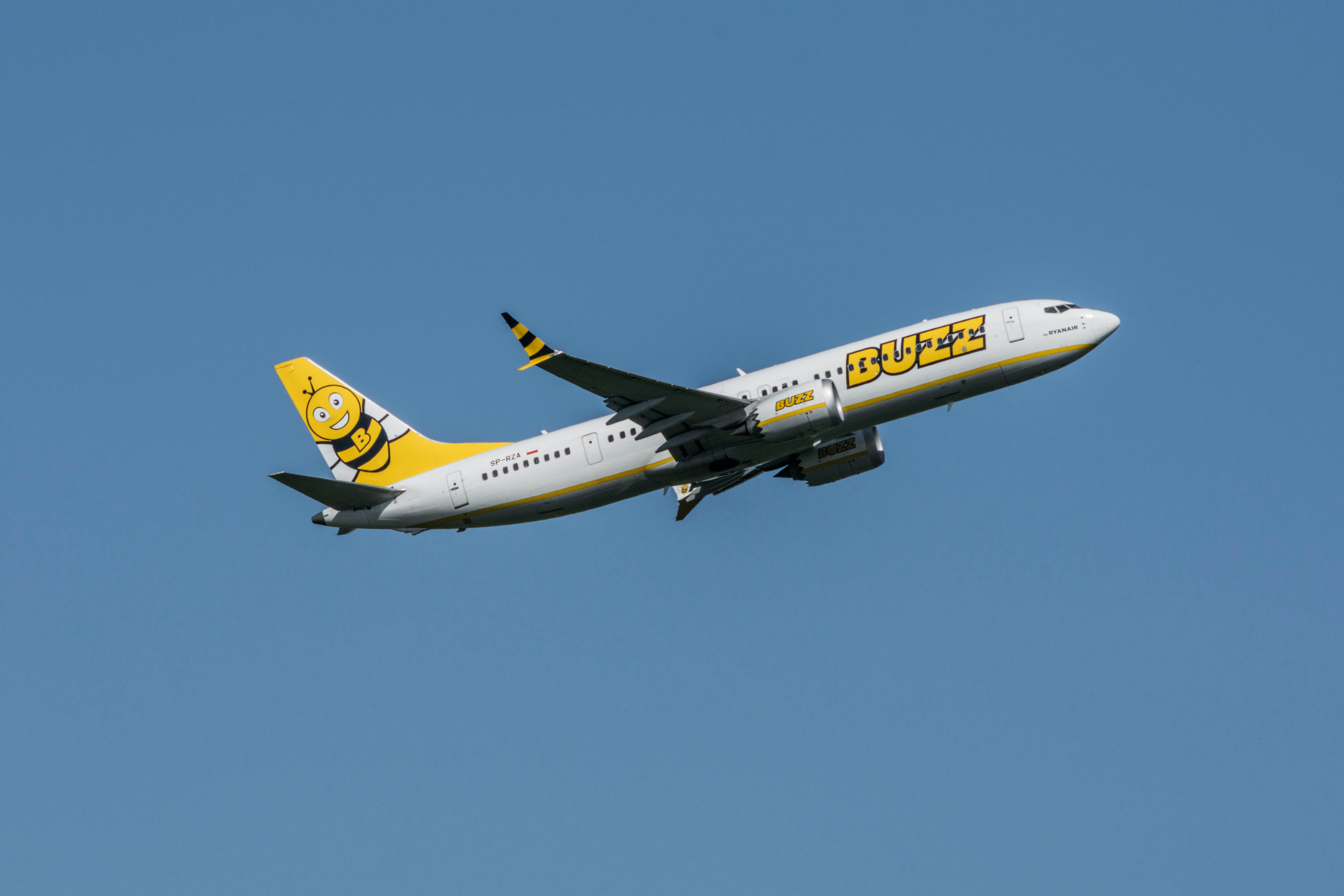 Spirit Airlines is gone: what Free Spirit loyalty points holders need to know about their rewards — Photo by SHOX ART on Pexe