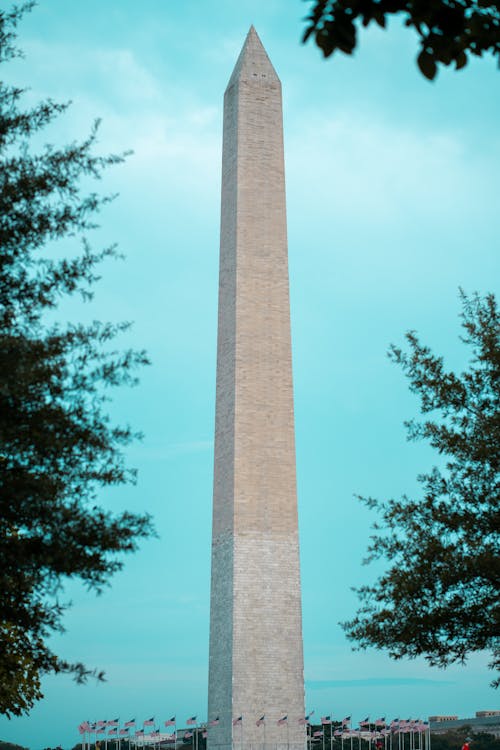 Základová fotografie zdarma na téma dc, okres, památník