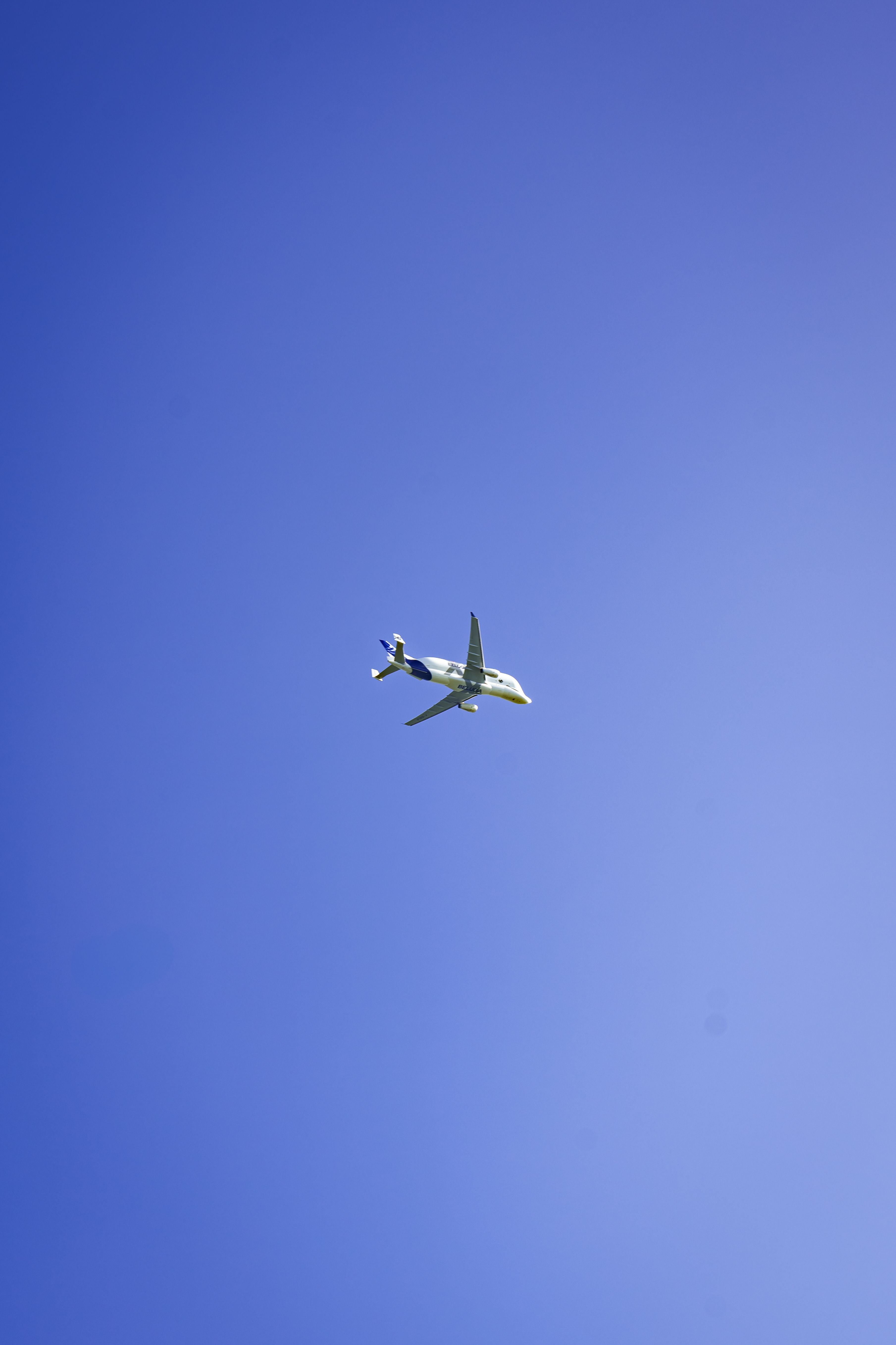 Airplane Flying in Clear Blue Sky · Free Stock Photo