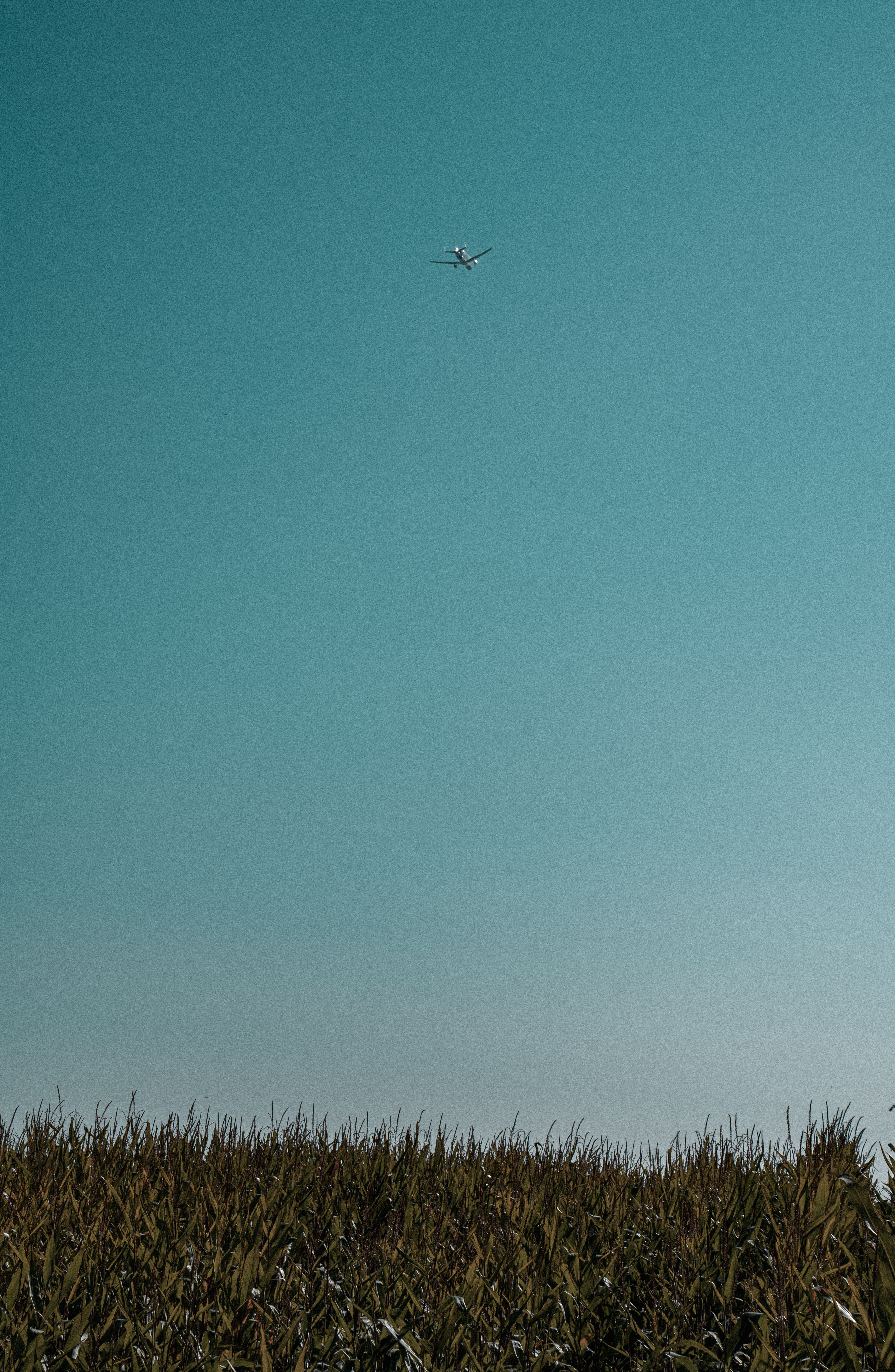 Airplane Flying Over Cornfield in Blue Sky · Free Stock Photo