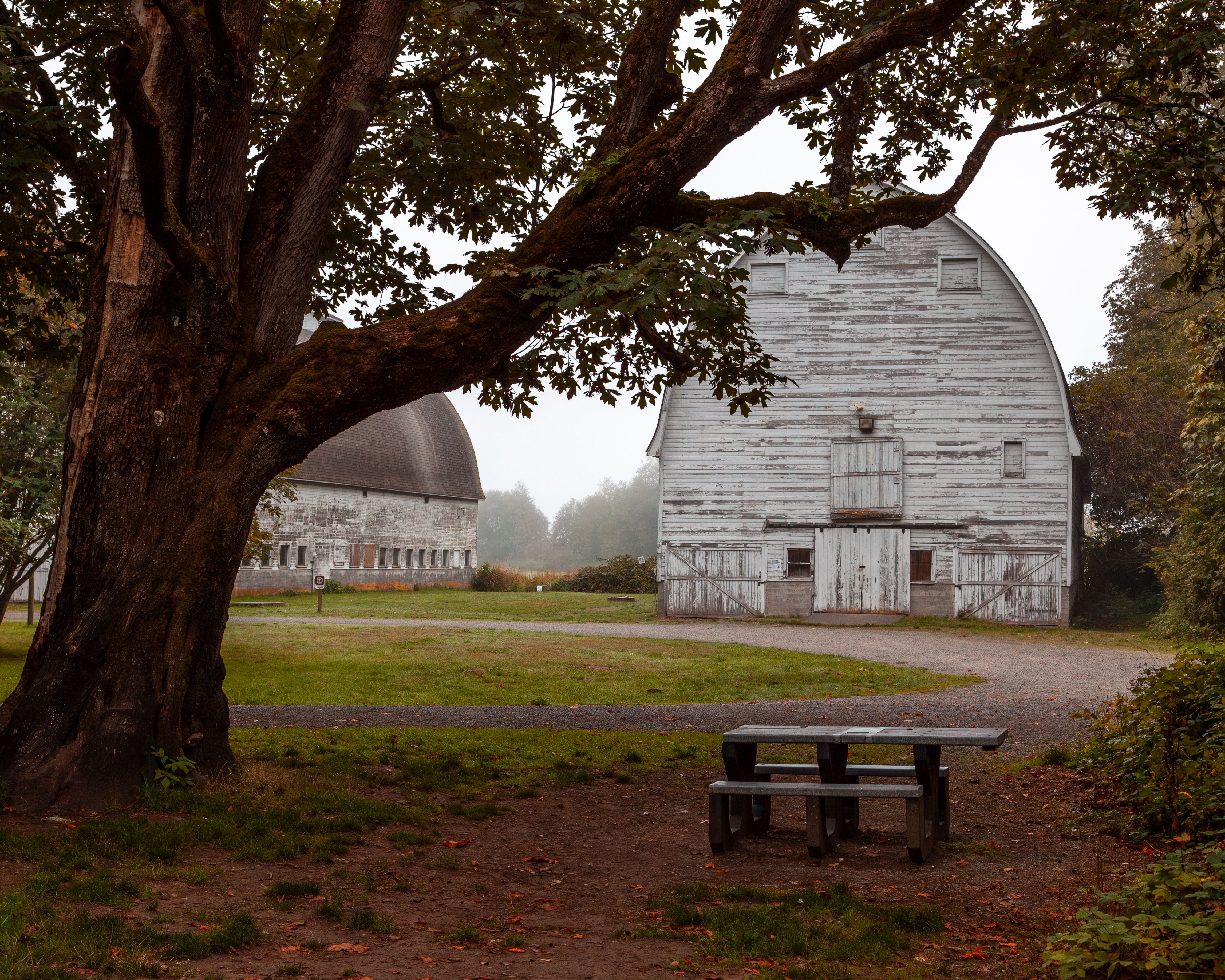 Amelita Mirolo Barn at Sunny 95 Park