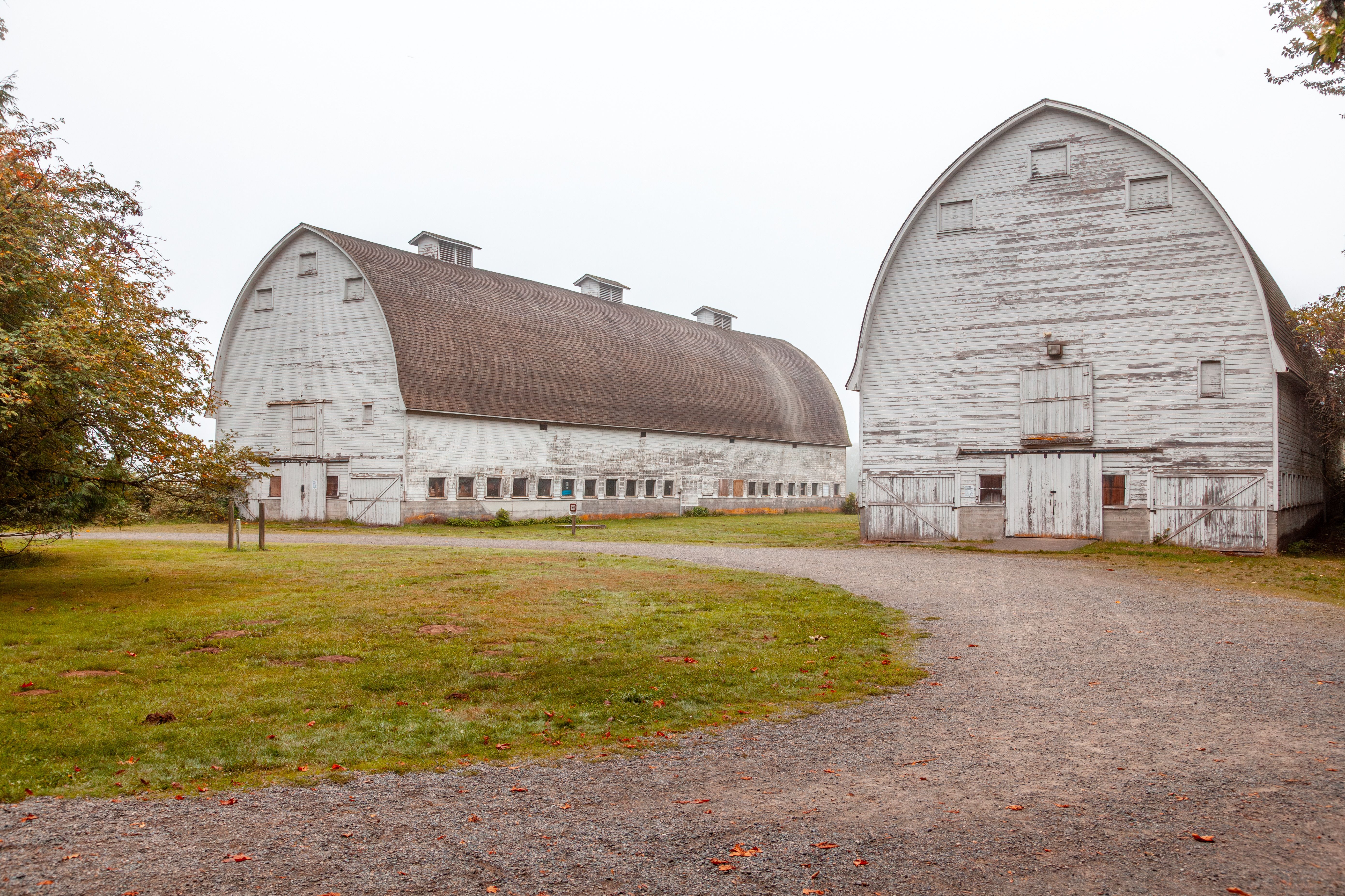 COUNTRY LIFE: Barn Buddies 4-H Club learns about local civics — Photo by Ken Cheatham on Pexels