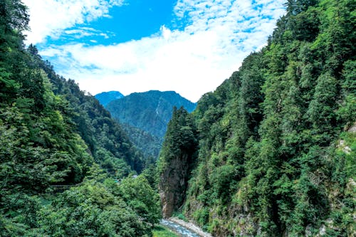 River Between Cliffs With Green Trees Landscape Photography