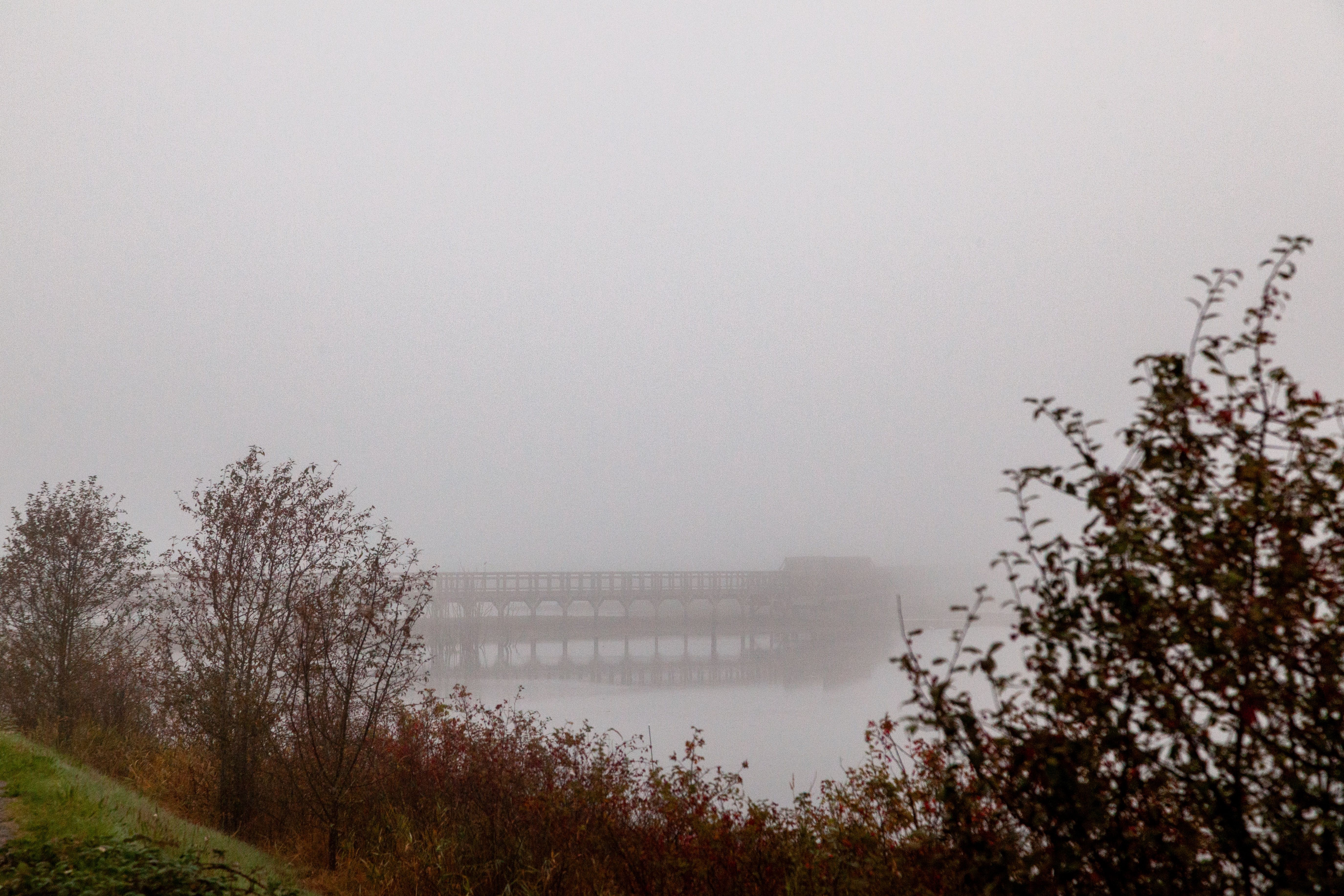 North Idaho Annual Bridge Repairs and Maintenance — Photo by Ken Cheatham on Pexels