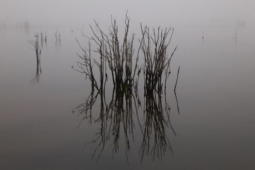 still lake