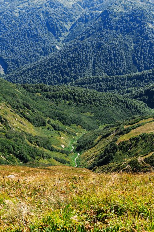 Free Explore the vibrant greenery and rolling hills of Гагра's stunning landscape. Stock Photo
