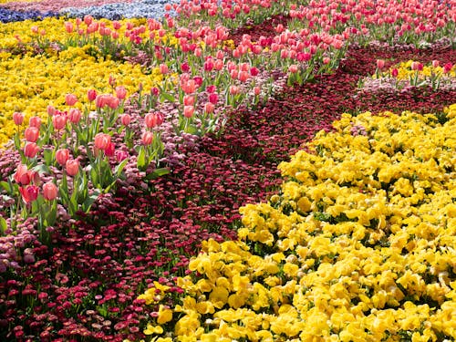 Best U.S. Botanical Gardens In Full Peak Bloom