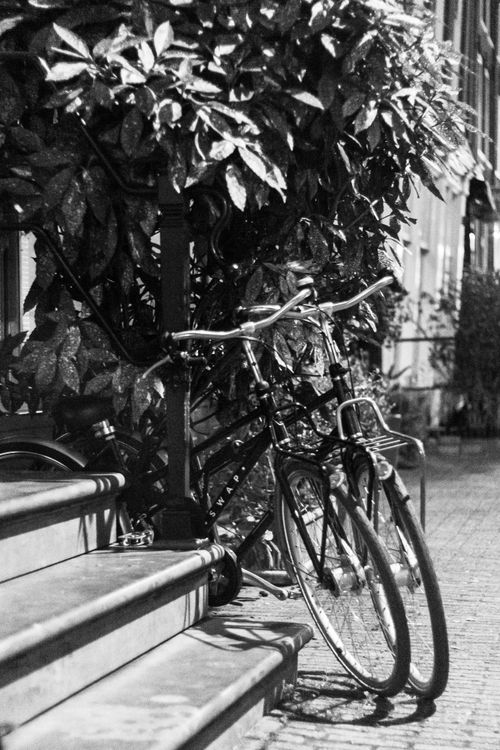 Free Monochrome image of parked bicycles on a charming street in Amsterdam at night. Stock Photo
