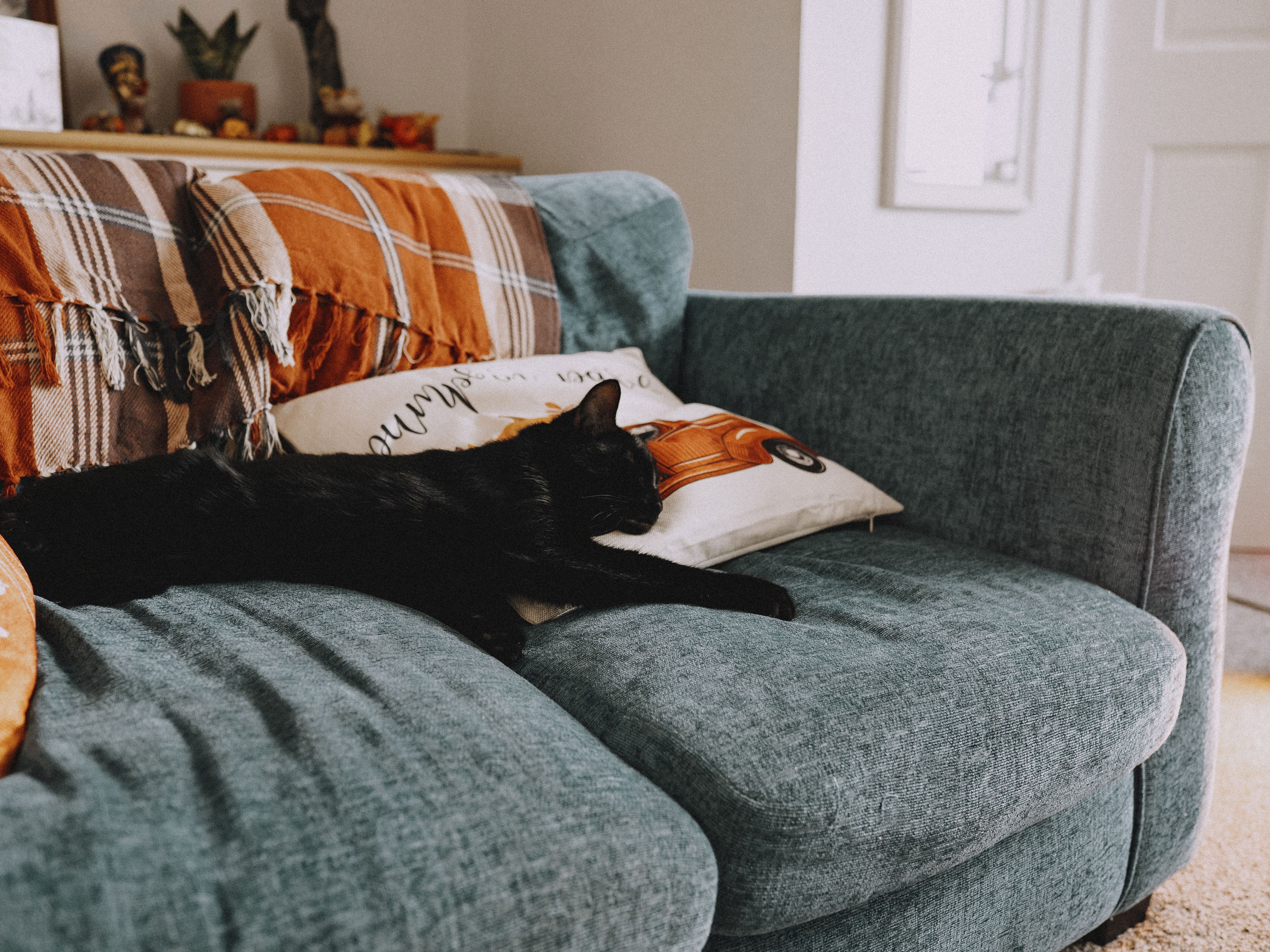 Amazon Home Favorites for 2026: Stylish Decor and Smart Organization — Photo by Lisa from Pexels on Pexels