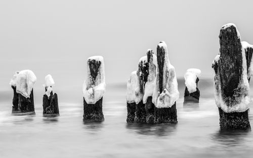 Free Black and white photo of snow-covered wooden posts in a frozen sea, creating an abstract winter landscape. Stock Photo