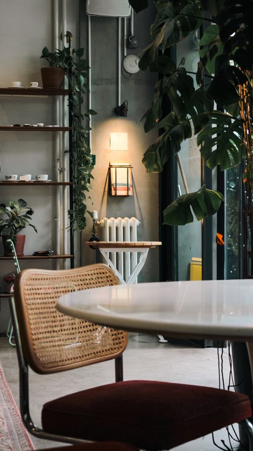 Free Warm cafe interior with plants, a white table, and wicker chair creating a cozy atmosphere. Stock Photo