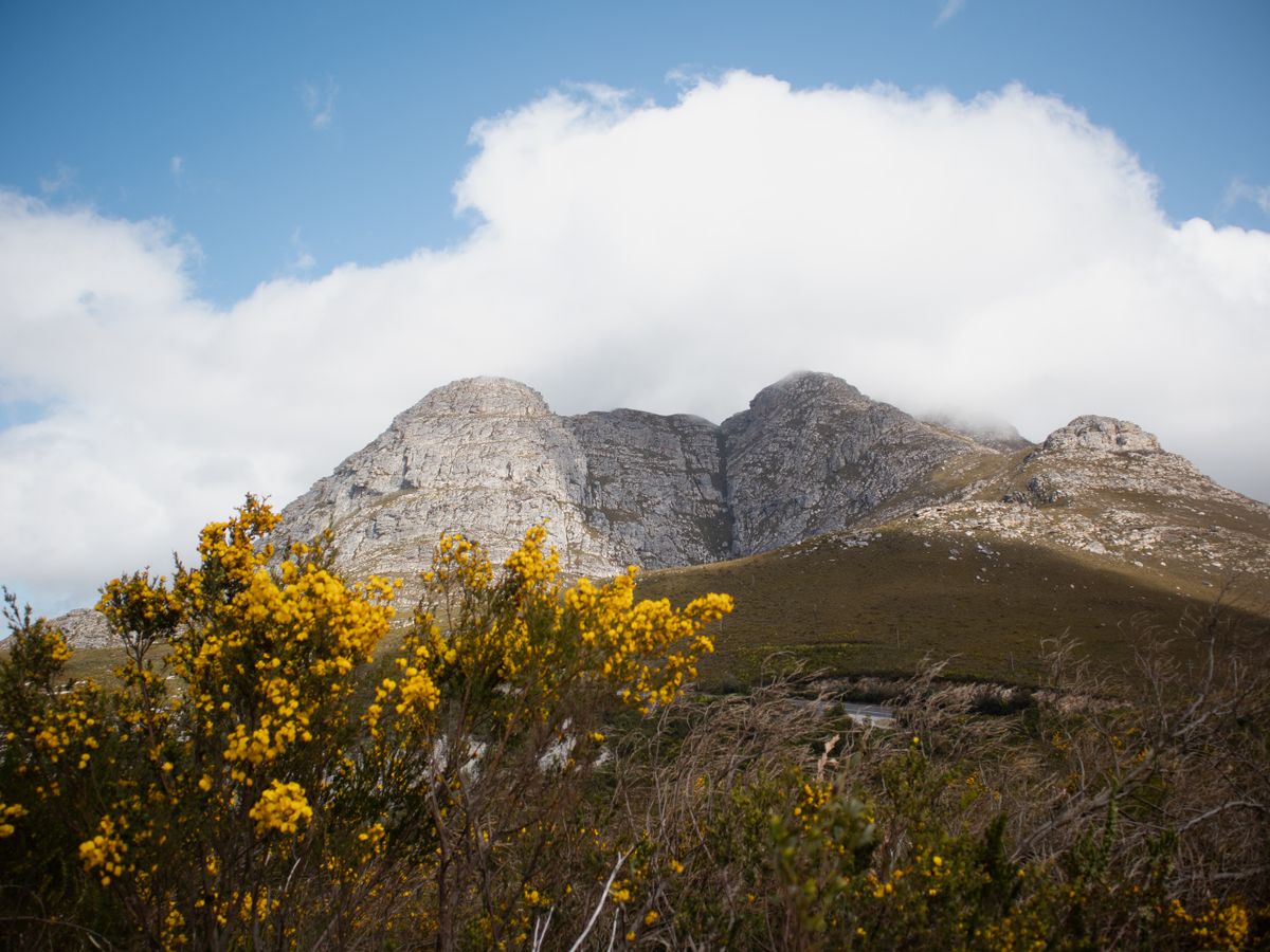 7 Day Yoga and Burnout Recovery Retreat in South Africa 2