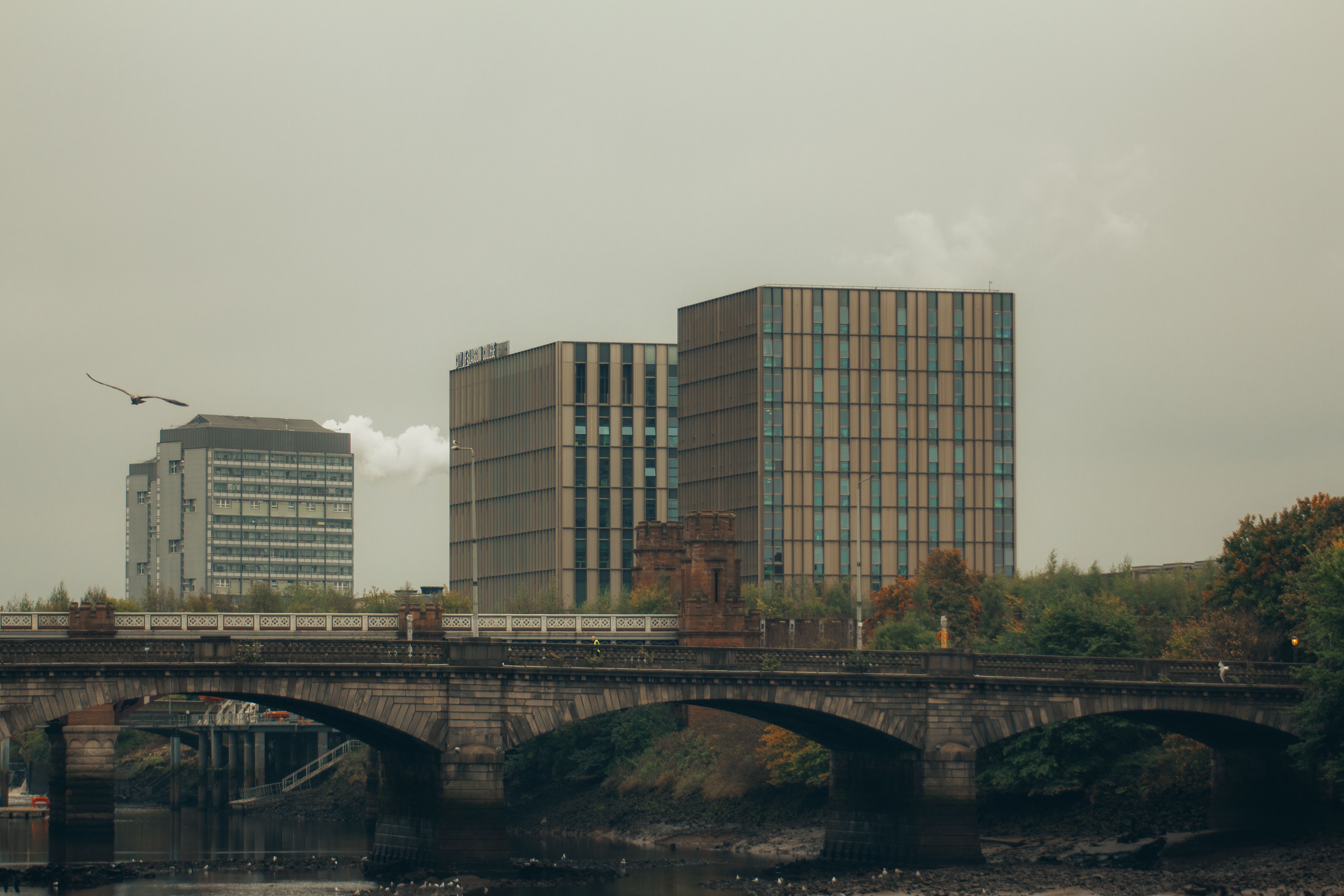 Urban Landscape Featuring Modern Architectural Buildings · Free Stock Photo
